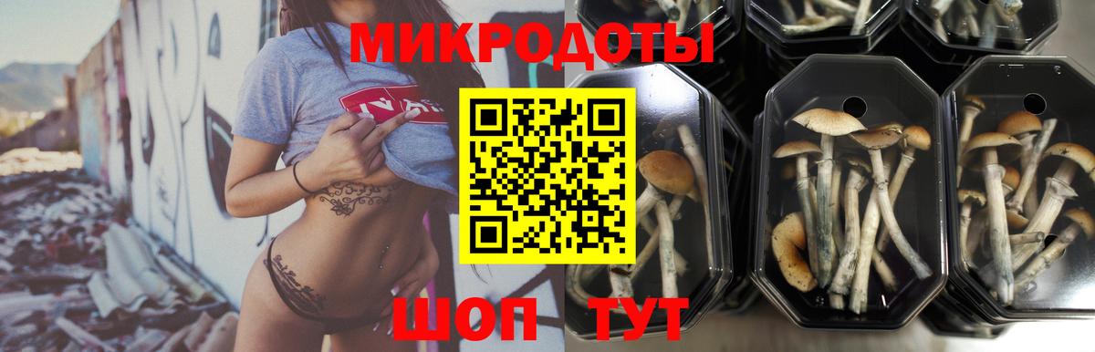 Белореченск  Псилоцибиновые грибы мицелий  Вход с VPN  где можно купить   Псилоцибиновые грибы прущие грибы 